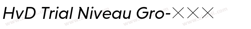 HvD Trial Niveau Gro字体转换